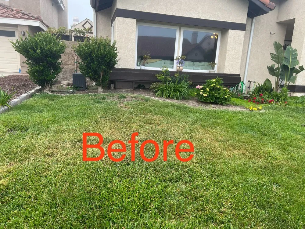 Custom landscape design for outdoor upgrades in Thousand Oaks, CA by Aurora Outdoors