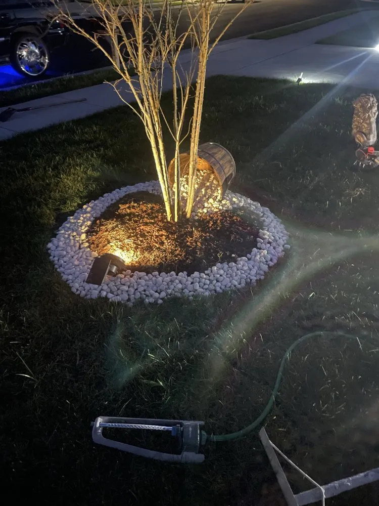 Top-rated lawn care service near you in Ellendale, DE by Auryck
