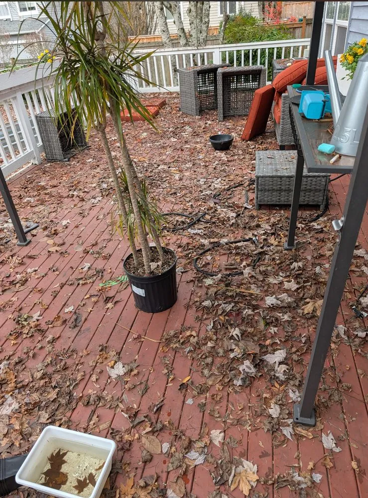 Custom landscaping services for outdoor upgrades across Everett, WA - Ausencio Landscaping