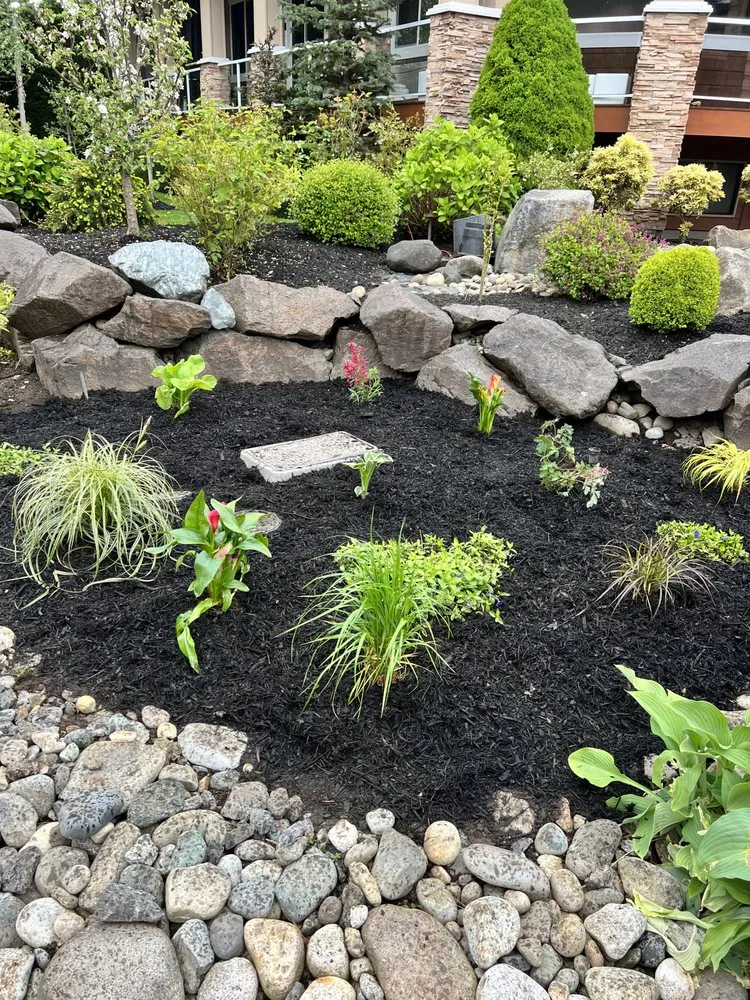 Affordable landscape installation in Everett, WA by Ausencio Landscaping