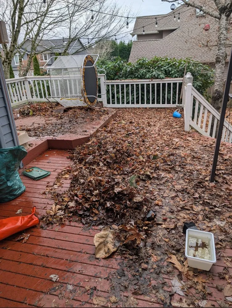 Reliable garden landscaping experts serving Everett, WA - Ausencio Landscaping