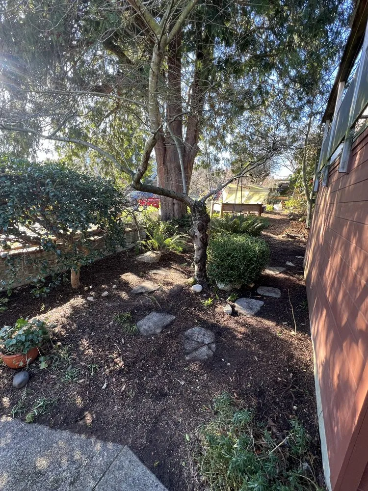 Custom landscape installation in Everett, WA by Ausencio Landscaping