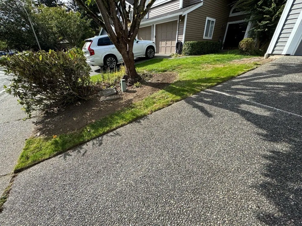 Professional landscaping services for year-round maintenance across Everett, WA - Ausencio Landscaping