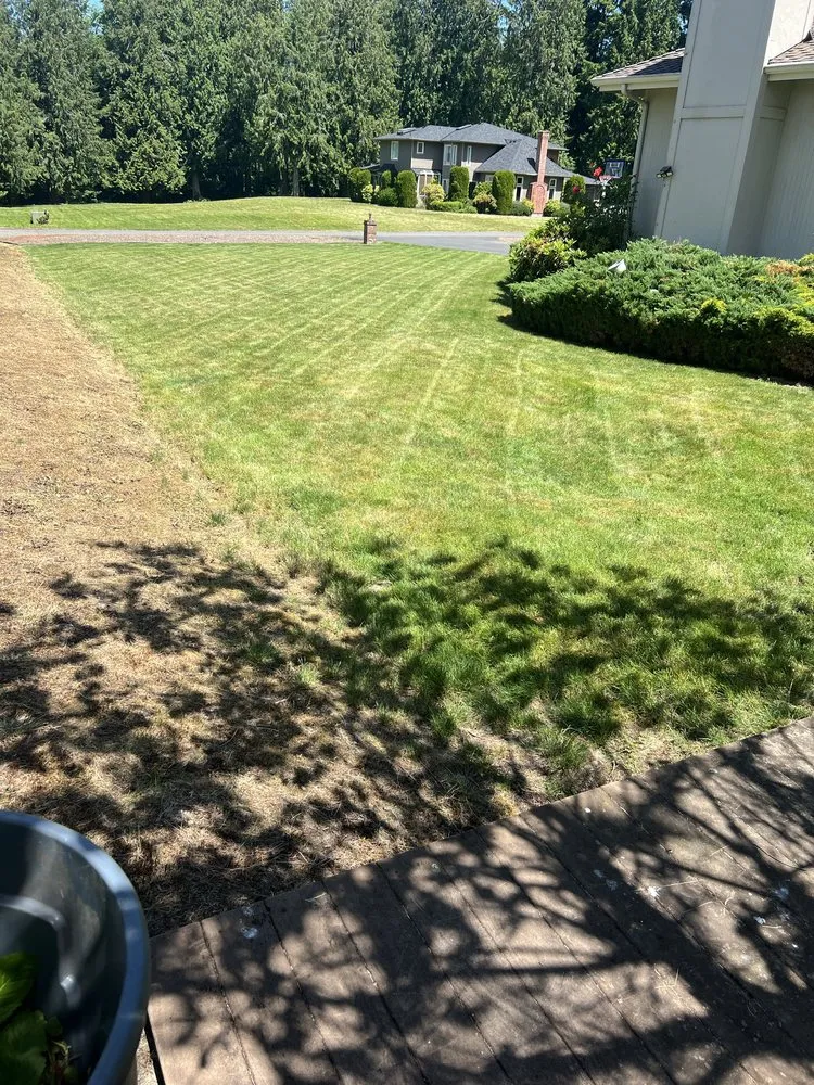 Custom landscape design in Everett, WA by Ausencio Landscaping