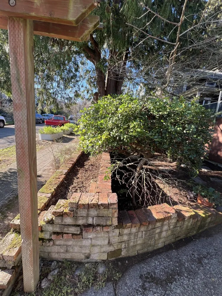 Top-rated landscape installation for outdoor upgrades across Everett, WA - Ausencio Landscaping