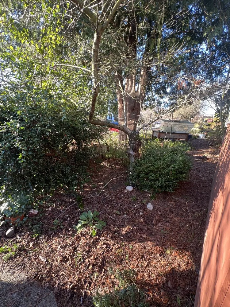 Affordable residential landscaping experts serving Everett, WA - Ausencio Landscaping