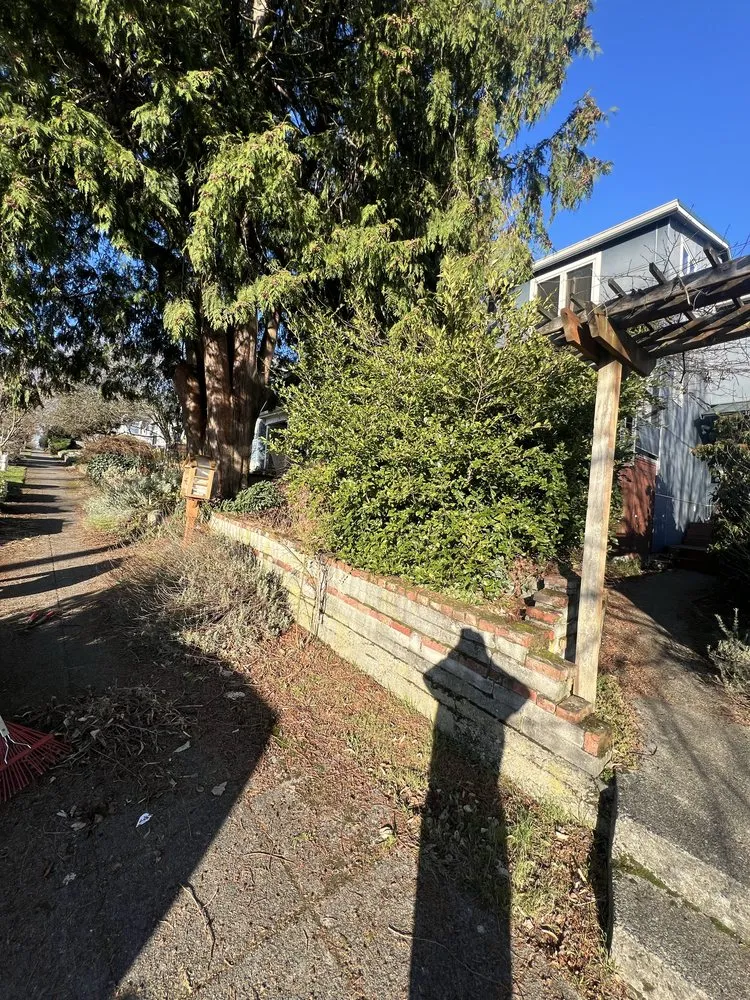 Expert landscaping services in Everett, WA by Ausencio Landscaping