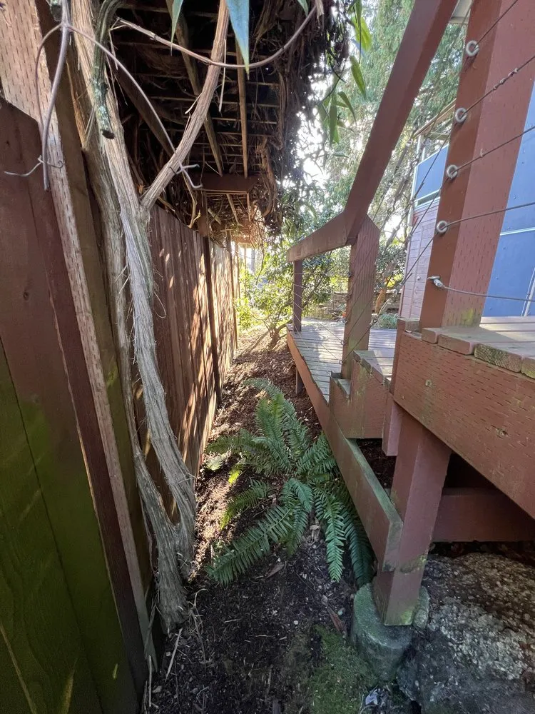 Professional yard maintenance for residential properties in Everett, WA by Ausencio Landscaping