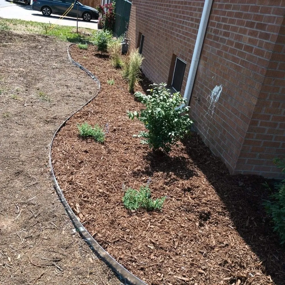 Expert landscaping services experts serving Aurora, CO - Auski's Irrigation