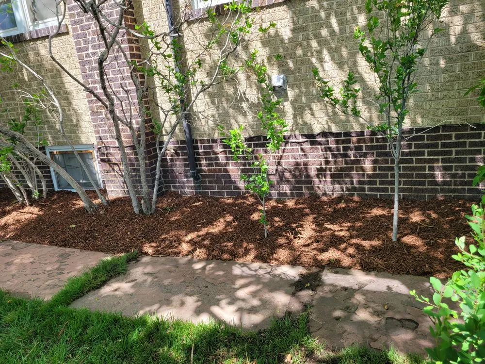 Trusted landscaping services in Aurora, CO - Auski's Irrigation