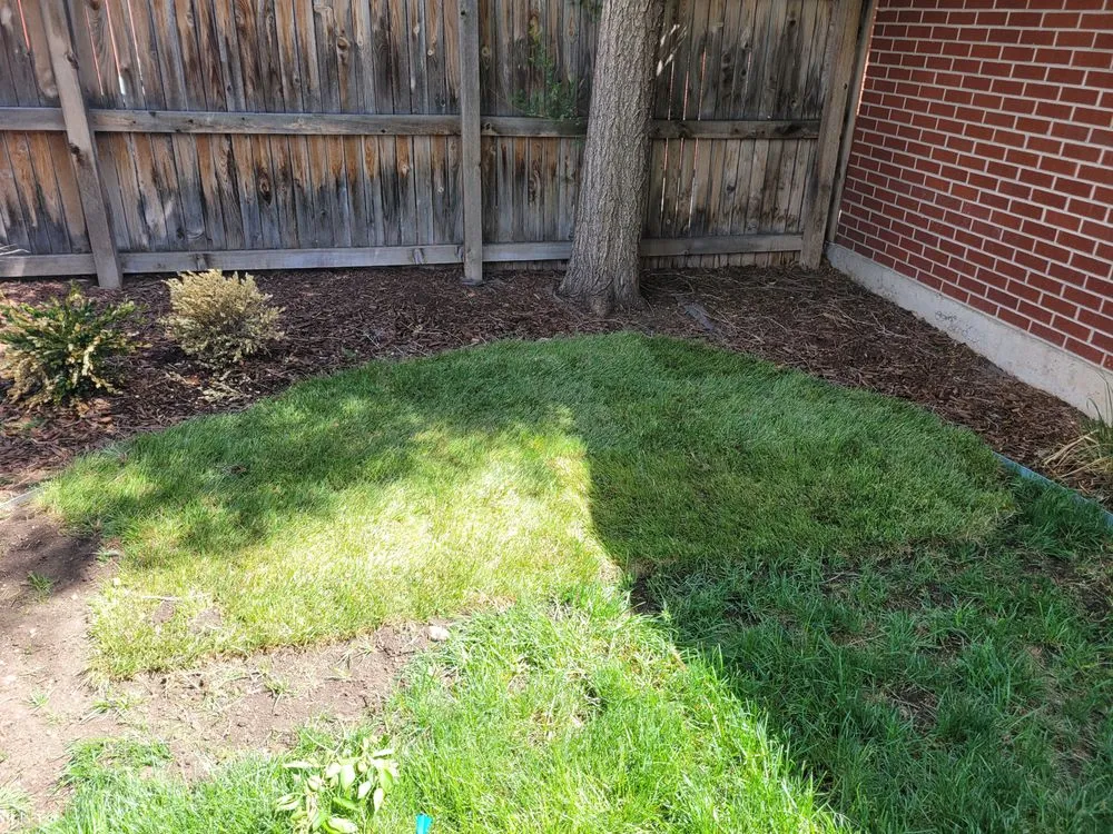 Reliable landscape design in Aurora, CO - Auski's Irrigation