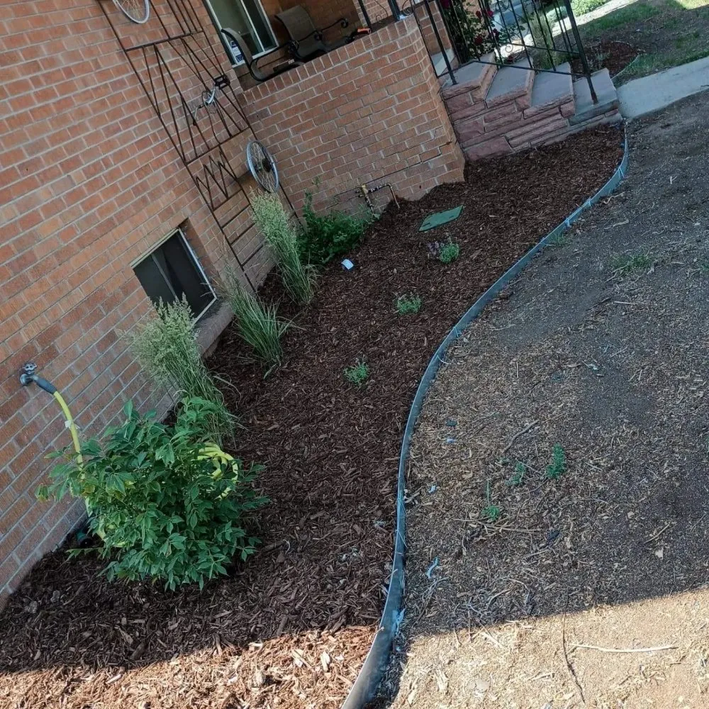 Top-rated yard maintenance with custom design in Aurora, CO by Auski's Irrigation