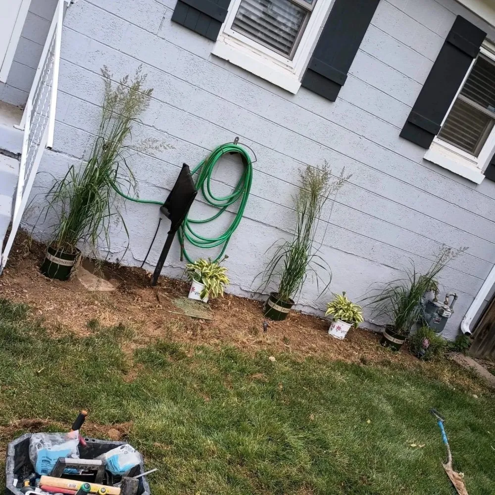 Expert lawn care service in Aurora, CO - Auski's Irrigation