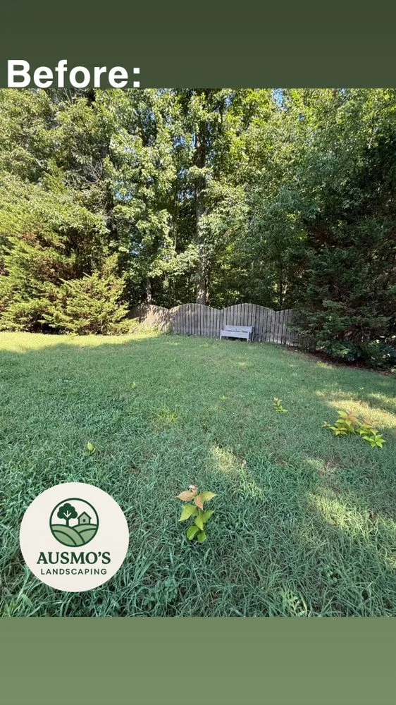 Custom lawn care service experts serving Knoxville, TN - Ausmo's Landscaping