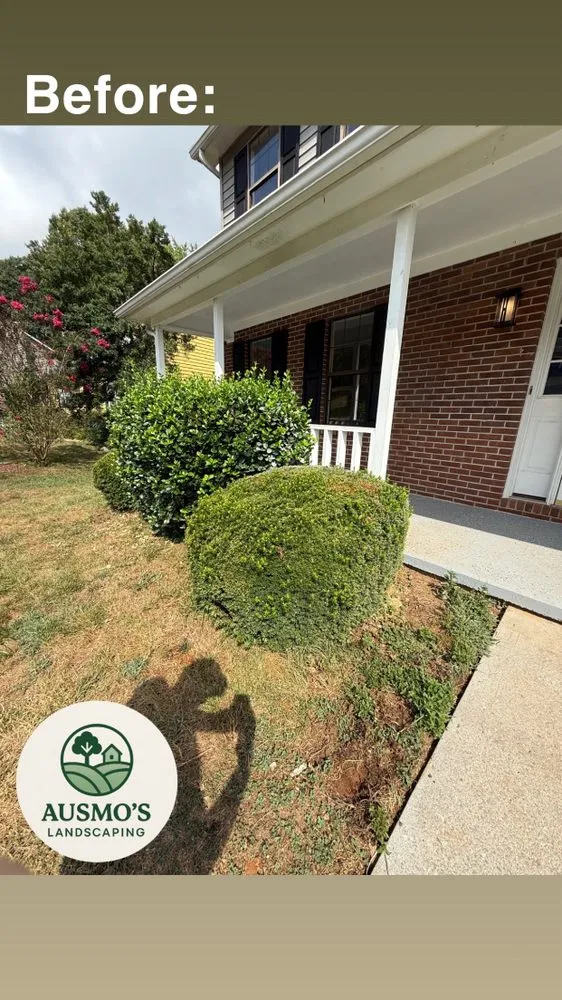 Reliable lawn care service in Knoxville, TN - Ausmo's Landscaping