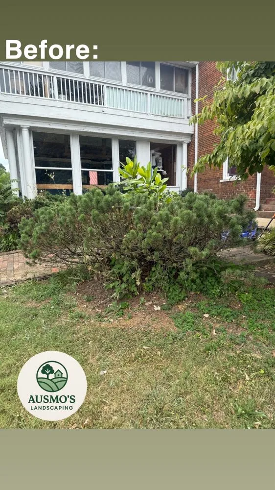 Custom landscape installation in Knoxville, TN - Ausmo's Landscaping