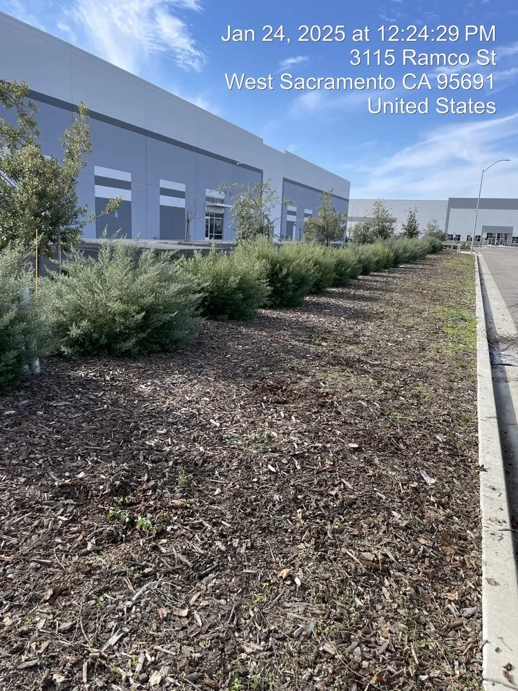 Affordable landscaping services in Galt, CA - Ausmus Gardencare