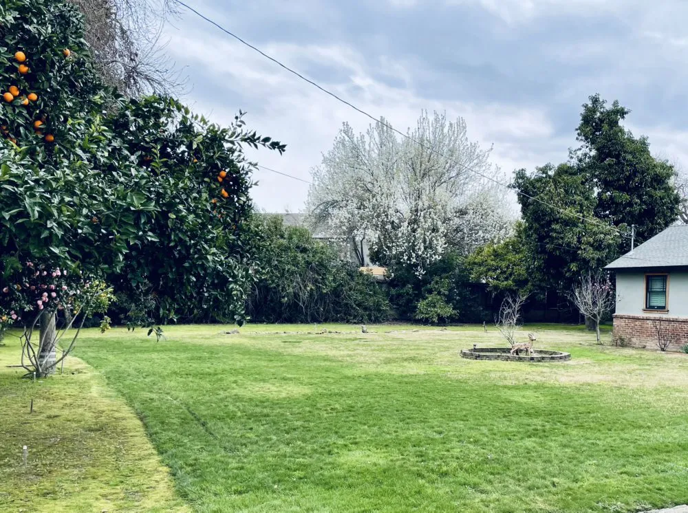 Local outdoor landscaping for year-round maintenance across Galt, CA - Ausmus Gardencare