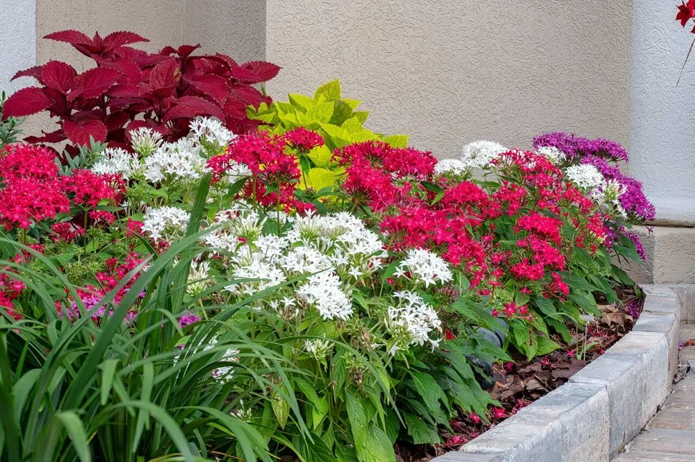 Top-rated garden landscaping for outdoor upgrades across Orange Park, FL - Aussie Landscape Management