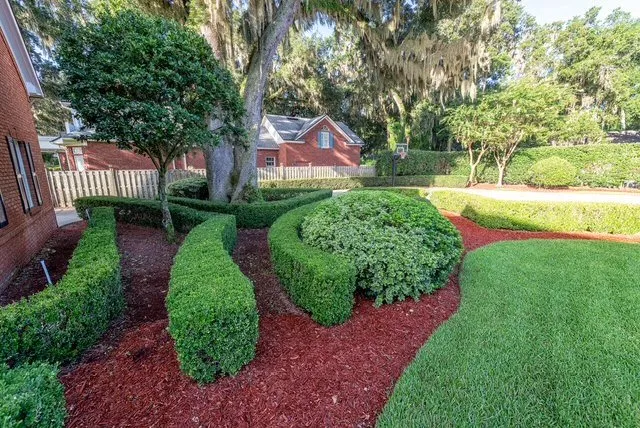 Trusted yard cleanup service experts serving Orange Park, FL - Aussie Landscape Management
