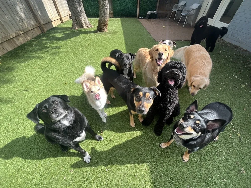 Local landscape design for homes in Elgin, TX by Aussie Turf & Landscaping