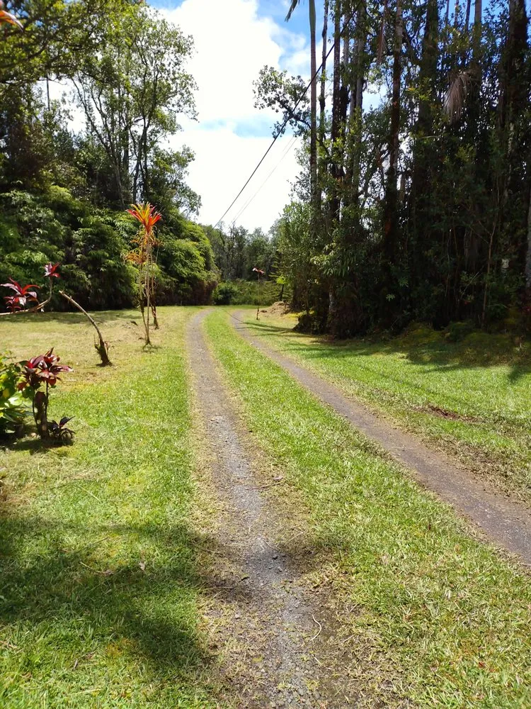 Professional landscape design in Keaau, HI - Aussies Service