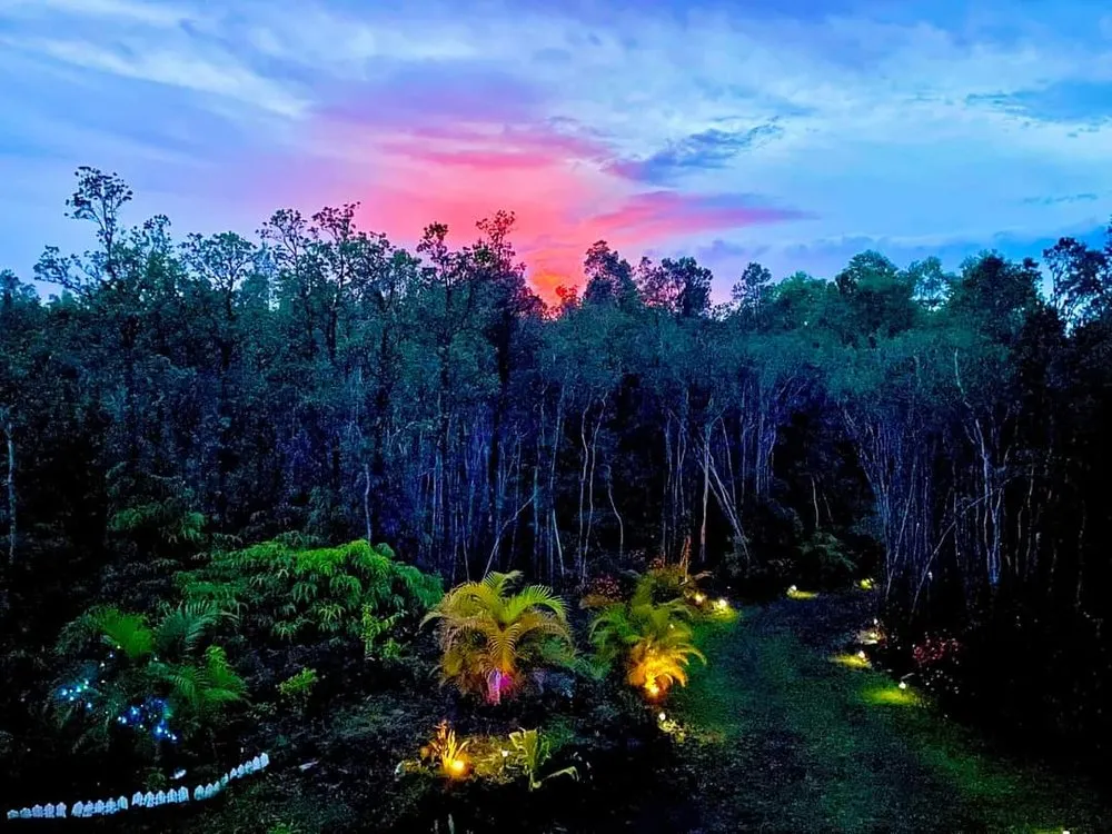 Affordable yard cleanup service experts serving Keaau, HI - Aussies Service