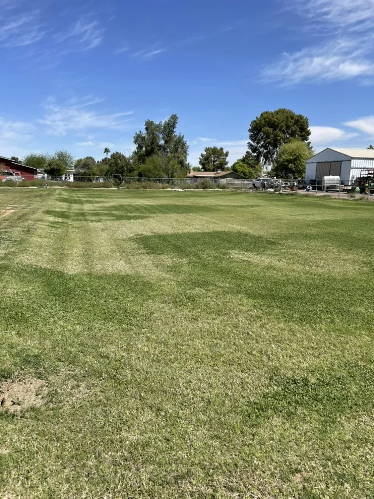 Local yard maintenance for residential properties across Strawberry, AZ - Austen’s Landscaping