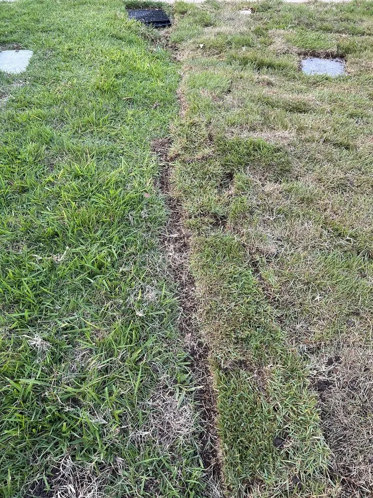 Reliable garden landscaping for year-round maintenance across Leander, TX - Austex Landscape And Design