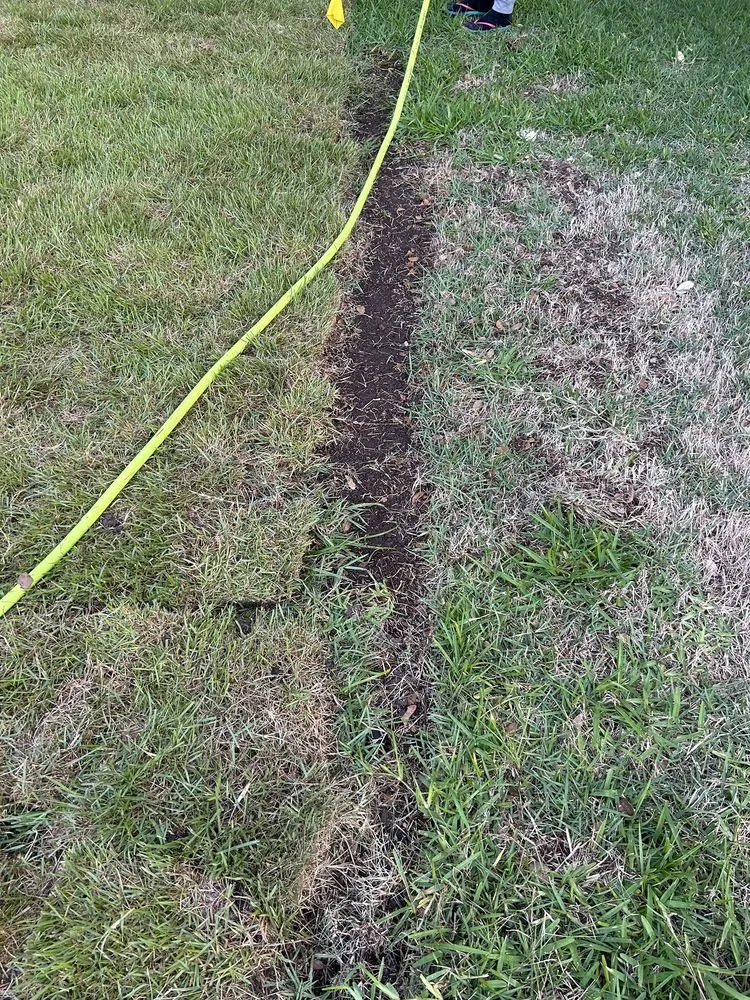 Top-rated lawn care service near you across Leander, TX - Austex Landscape And Design