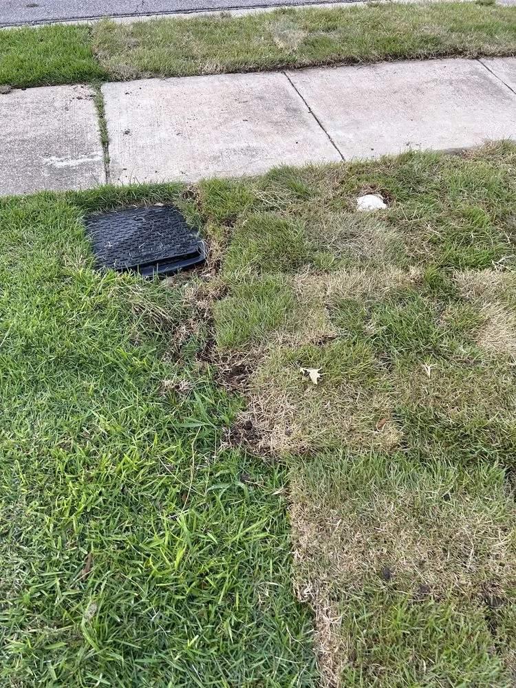 Reliable landscape design in Leander, TX - Austex Landscape And Design