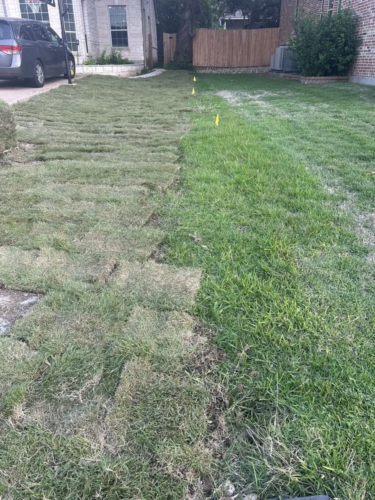Reliable yard cleanup service experts serving Leander, TX - Austex Landscape And Design