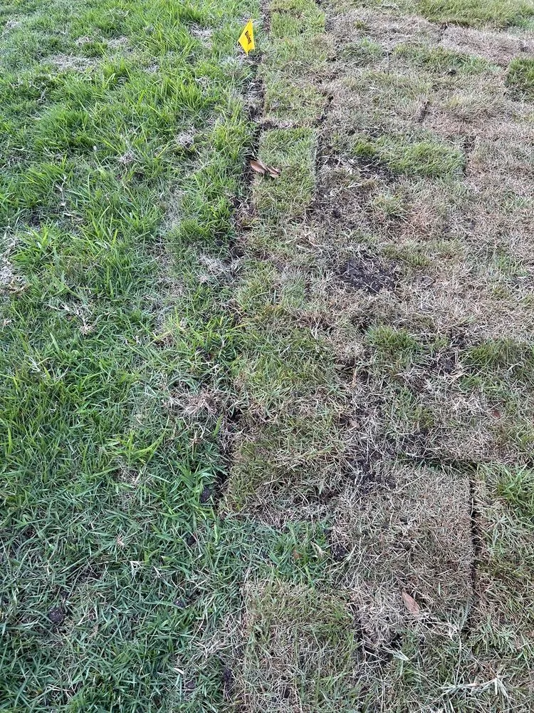 Affordable garden landscaping in Leander, TX - Austex Landscape And Design