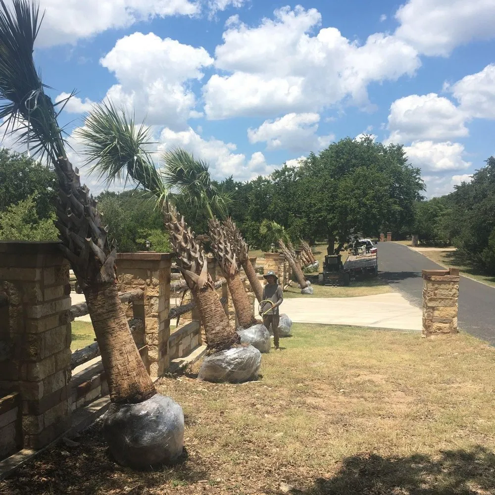 Custom lawn mowing service experts serving Leander, TX - Austex Landscape And Design