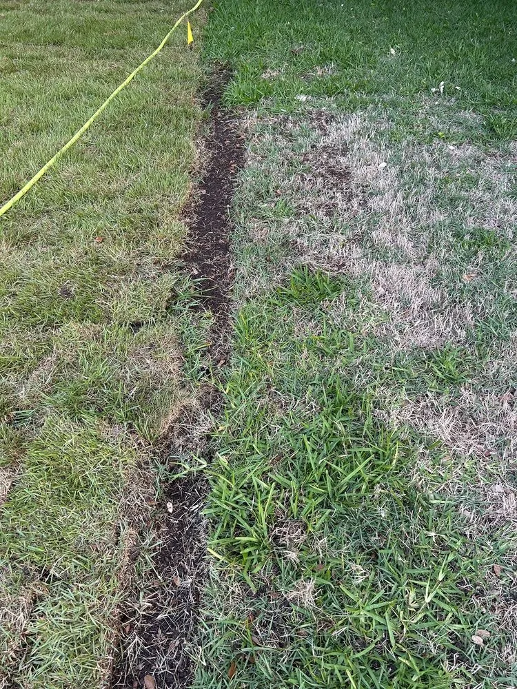 Top-rated yard maintenance for outdoor upgrades across Leander, TX - Austex Landscape And Design