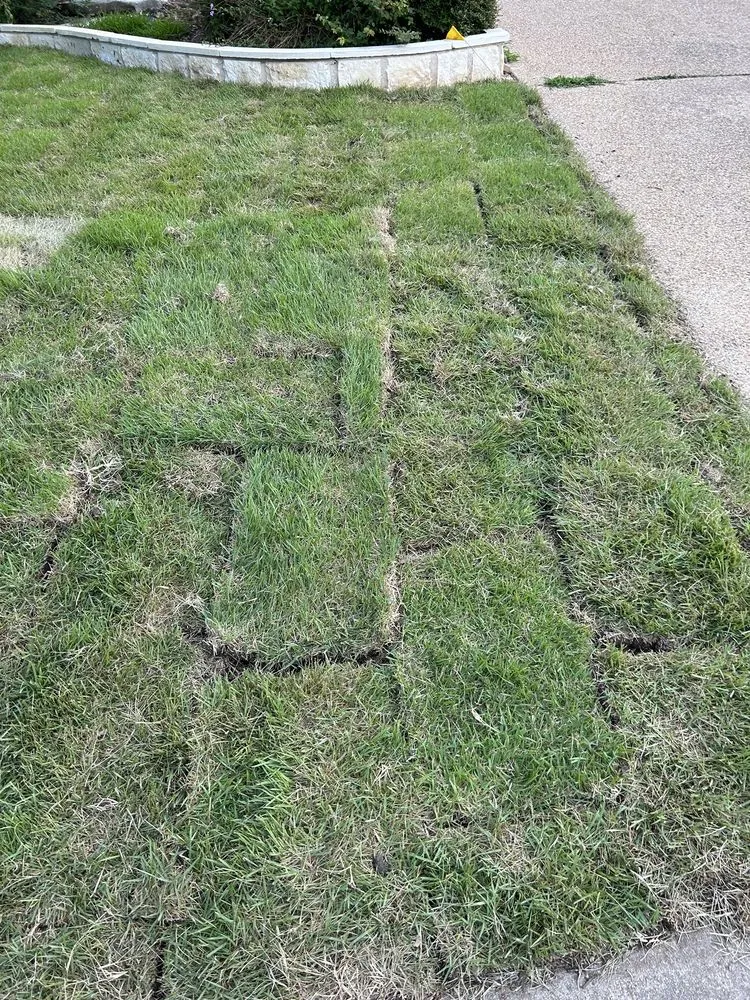 Professional yard maintenance in Leander, TX by Austex Landscape And Design