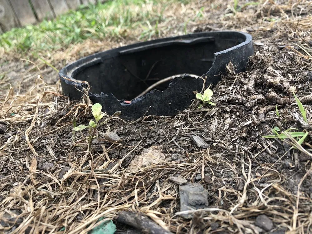 Reliable lawn mowing service in Buda, TX by Austex Sprinklers