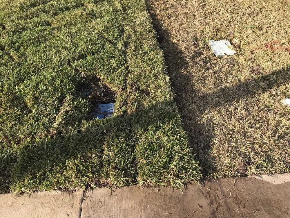 Professional landscape design for year-round maintenance across Buda, TX - Austex Sprinklers