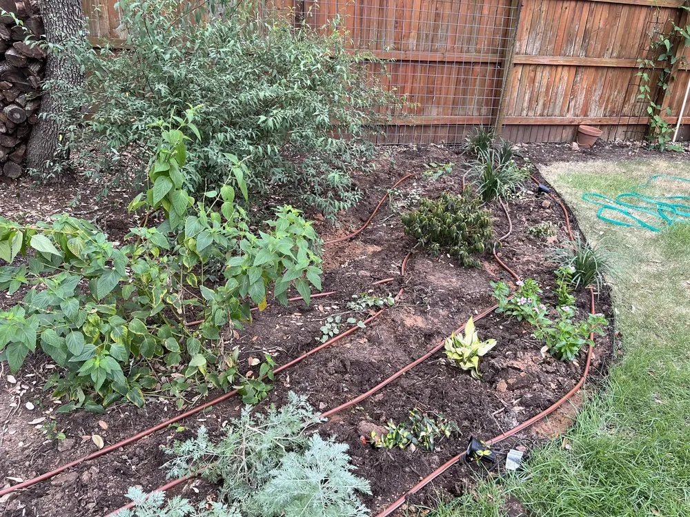 Professional outdoor landscaping experts serving Buda, TX - Austex Sprinklers