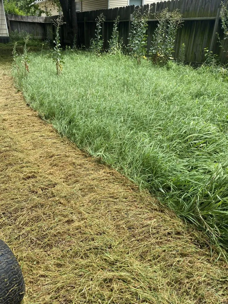 Affordable outdoor landscaping in Wichita, KS by Austicle Lawn Mowing