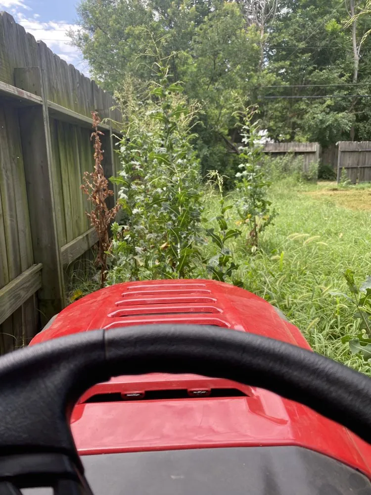 Professional landscape design in Wichita, KS by Austicle Lawn Mowing