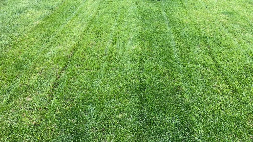Expert landscape installation experts serving Wichita, KS - Austicle Lawn Mowing