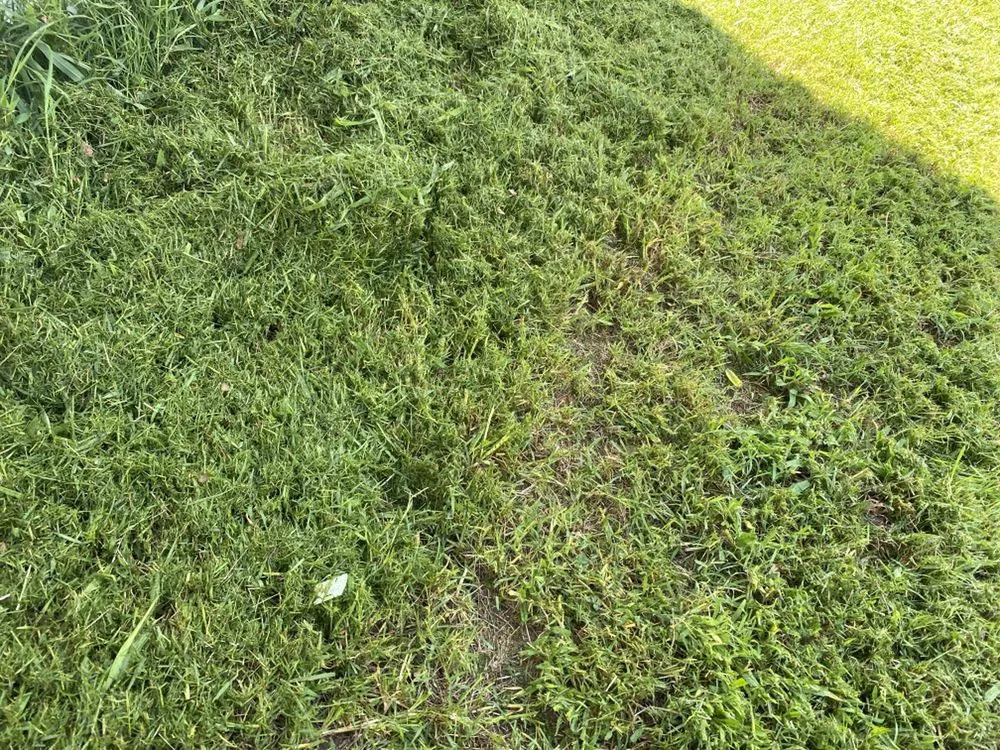 Local landscape installation experts serving Wichita, KS - Austicle Lawn Mowing