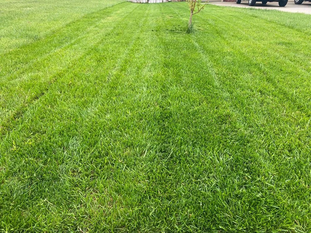 Top-rated landscape installation near you in Wichita, KS by Austicle Lawn Mowing