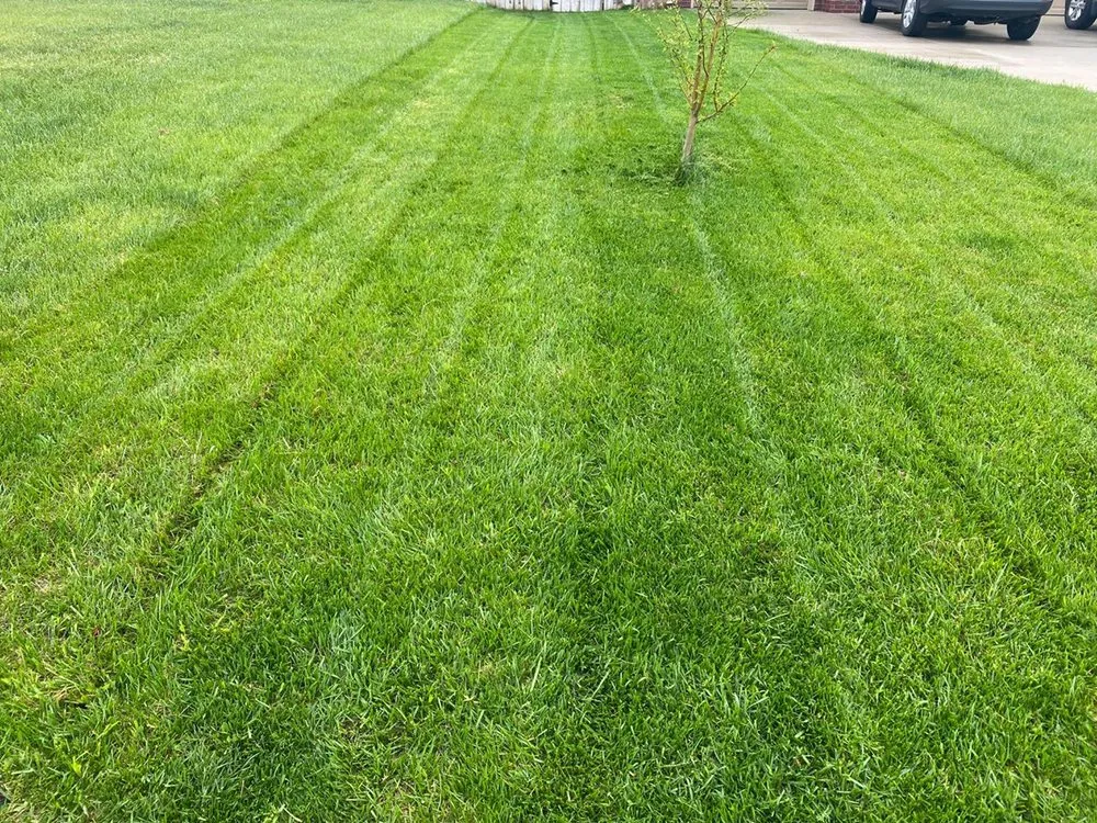 Affordable outdoor landscaping with custom design across Wichita, KS - Austicle Lawn Mowing