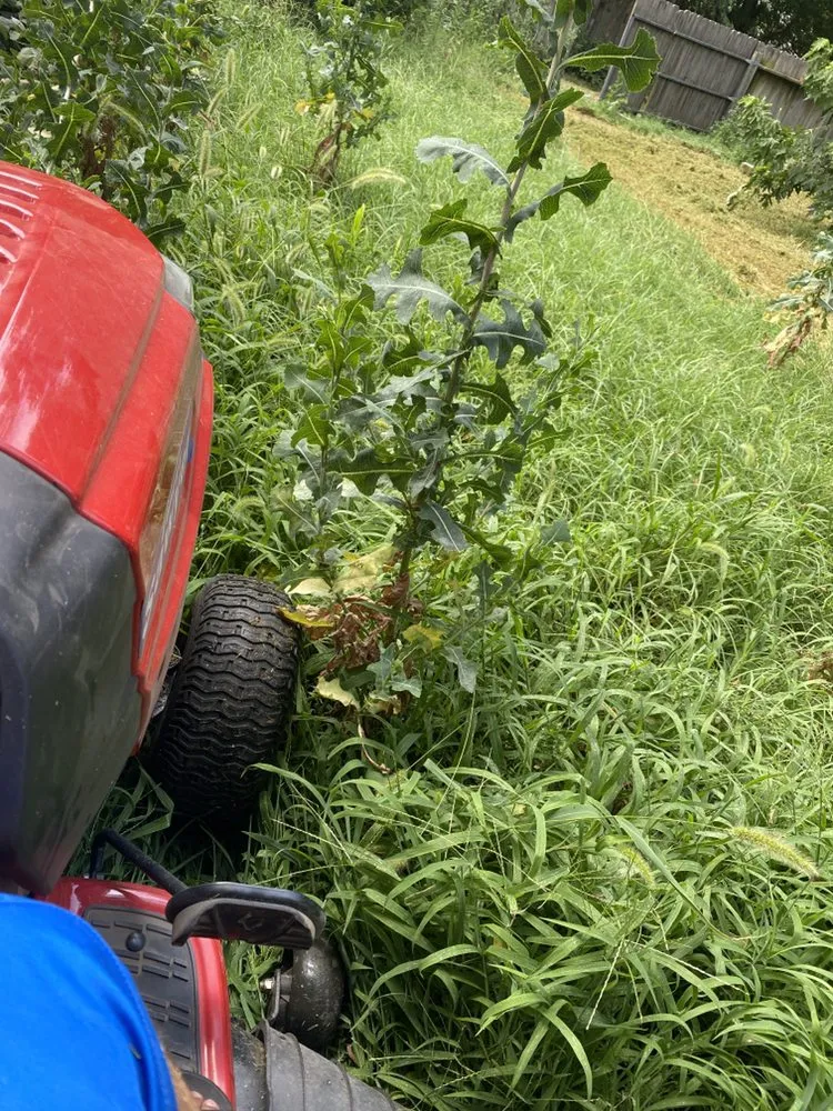 Trusted yard maintenance near you in Wichita, KS by Austicle Lawn Mowing