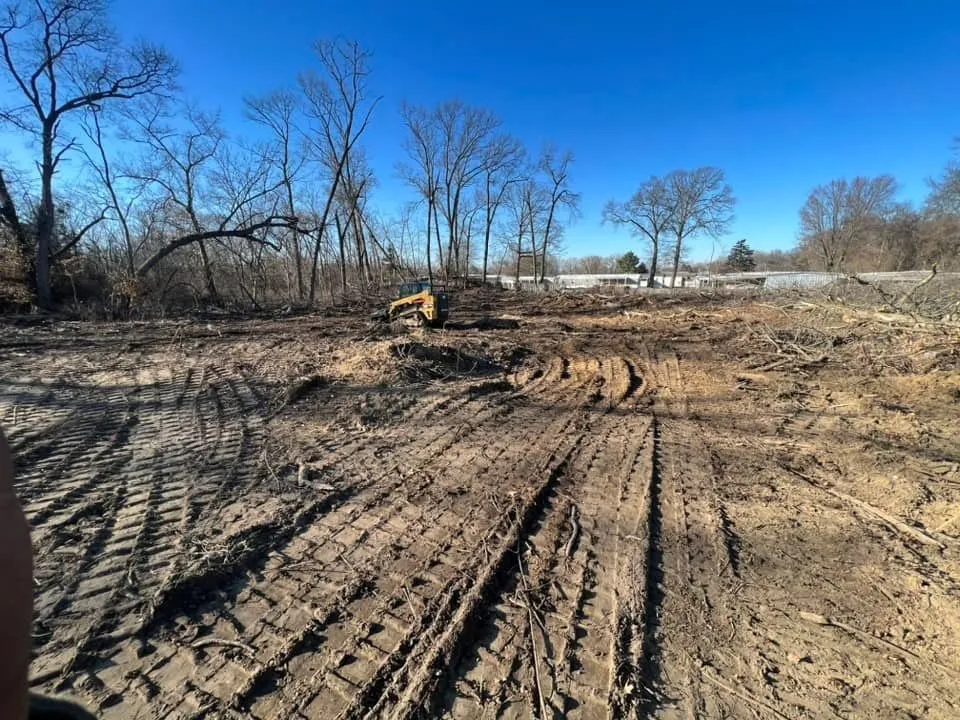 Affordable lawn care service experts serving Curtice, OH - Austin & August Outdoor Management