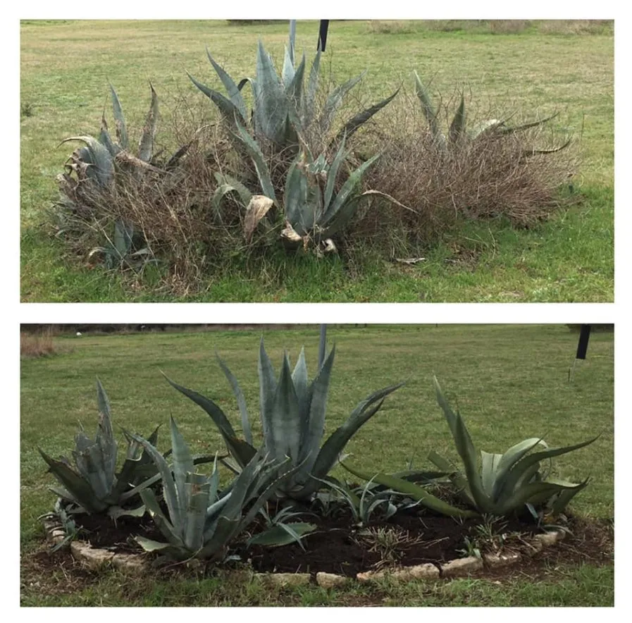 Top-rated outdoor landscaping in Austin, TX - Austin Affordable Landscaping & More