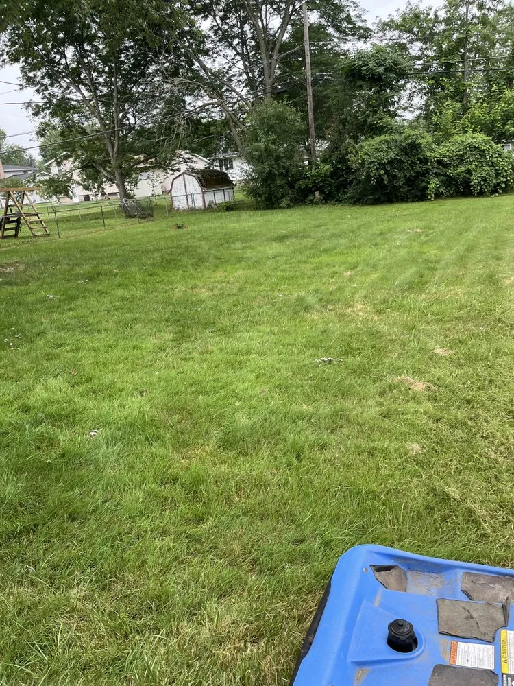 Top-rated yard cleanup service for outdoor upgrades across Rochester, NY - Austin and Tylers Lawn Service