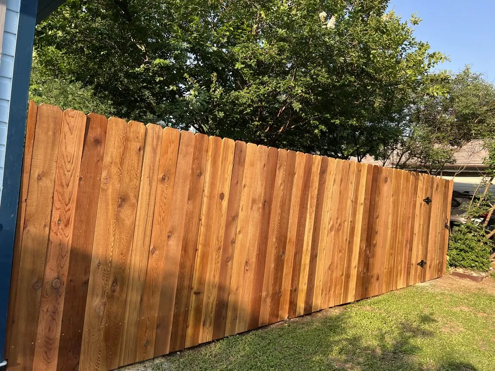 Professional outdoor landscaping for year-round maintenance in Austin, TX by Austin Brothers